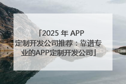 2025 年 APP 定制开发公司推荐：靠谱专业的APP定制开发公司